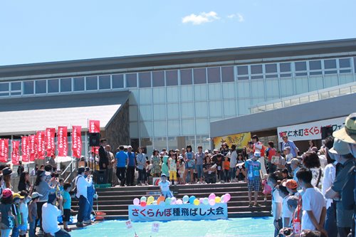 さくらんぼフェスティバル種飛ばし大会