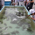 2020年 7月26日　第35回湧別サロマ湖龍宮えびホタテまつり
