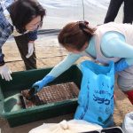 いきいきファーム　2016年 4月◆トマトの播種は、たいへん繊細な作業でした◆
