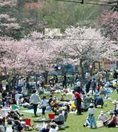 2019年 5月11日～5月19日 第70回あっけし桜・牡蠣まつり
