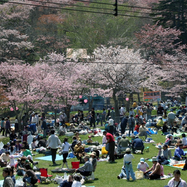 第67回あっけし桜・牡蠣まつり