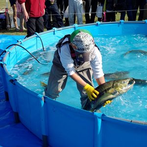 第45回 門別ししゃも祭り