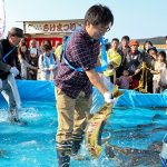 2018年11月 3日　北斗市茂辺地さけまつり