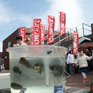 2020年 2月 9日　恵山ごっこまつり