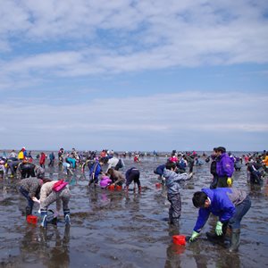 別海町尾岱沼潮干狩りフェスティバル