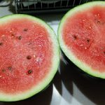 めぐみの里　ぴっぴ　2015年9月5日