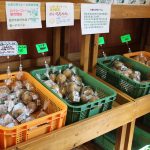 いきいきファーム　2016年 8月◆朝どり新鮮野菜の直売所は毎週土日水営業中◆