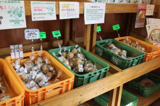 いきいきファーム　2016年 8月◆朝どり新鮮野菜の直売所は毎週土日水営業中◆