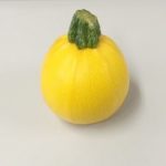 ◆夏の野菜ズッキーニ◆いきいきファーム取材に伺い、ズッキーニをお裾分け