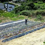 めぐみの里　ぴっぴ　2015年6月22日