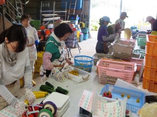 ◆いきいきファーム3期生募集中◆農業体験講座を受講してみませんか