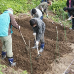 【農園プロジェクト2014】畑のできるまで 2014.05.24