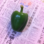 【農園プロジェクト2014】ピーマン 2014.09.06