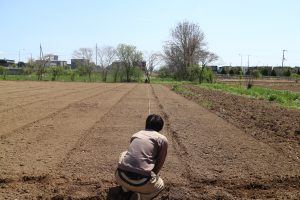 2.圃場の幅や長さをはかる