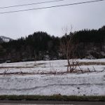 めぐみの里　ぴっぴ　2017年5月1日