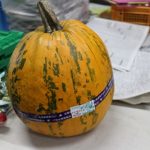 いきいきファーム　2017年10月◆耕す、収穫だけではありません。これも農業◆