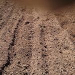 めぐみの里　ぴっぴ　2018年5月12日