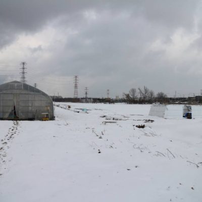 いきいきファーム　2019年3月◆今年は雪が積もる中、訪れました◆