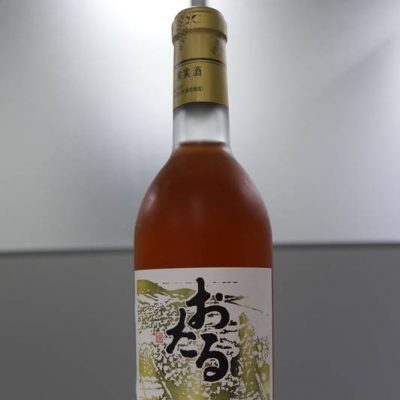 バーベキューでワインをいただきました(^^♪