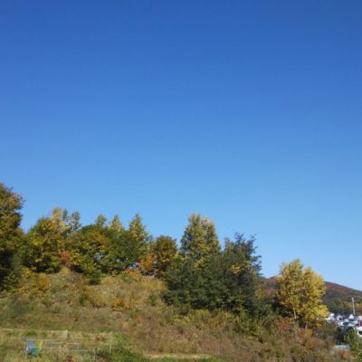 快晴