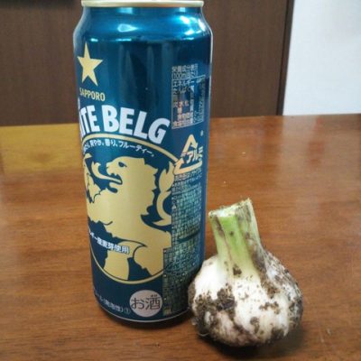 大きな大蒜