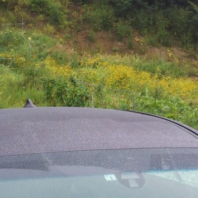 猛暑後の雨