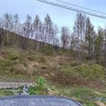 小樽は今日も雨