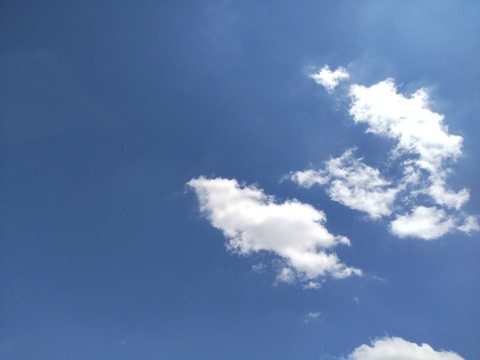 この1ヶ月色々ありまして その1