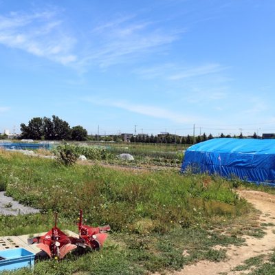 いきいきファーム◆2022年5月◆晴天◆農業体験本格始動