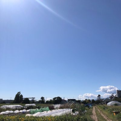 いきいきファーム◆2021年9月◆晴天
