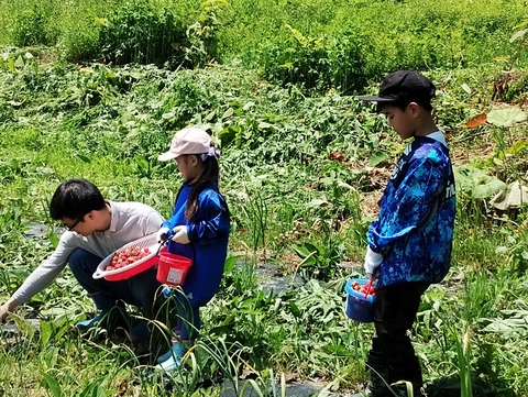 6/24 また快晴、暑っ！