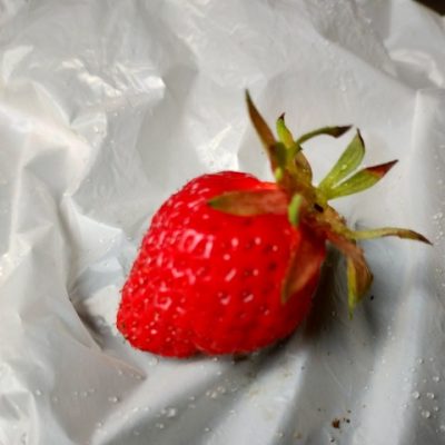 6/9 ピーマン、茄子定植