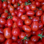 ◆トマトのソバージュ栽培　ロッソナポリタン サンマルツァーノリゼルバ ♪